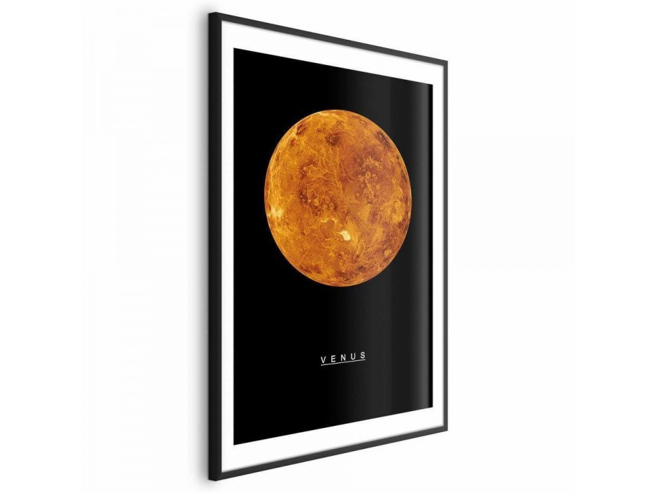 Poster - Venus