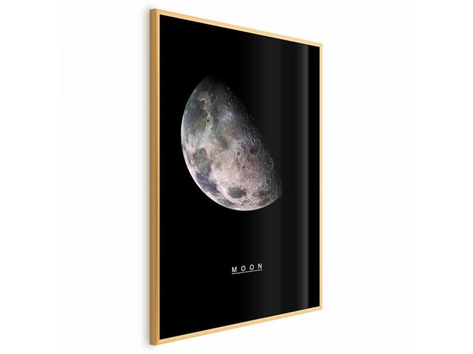 Poster - Moon