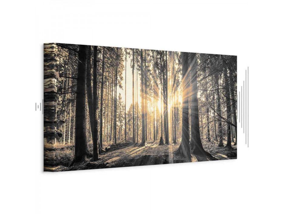 Tableau - Forest Sun