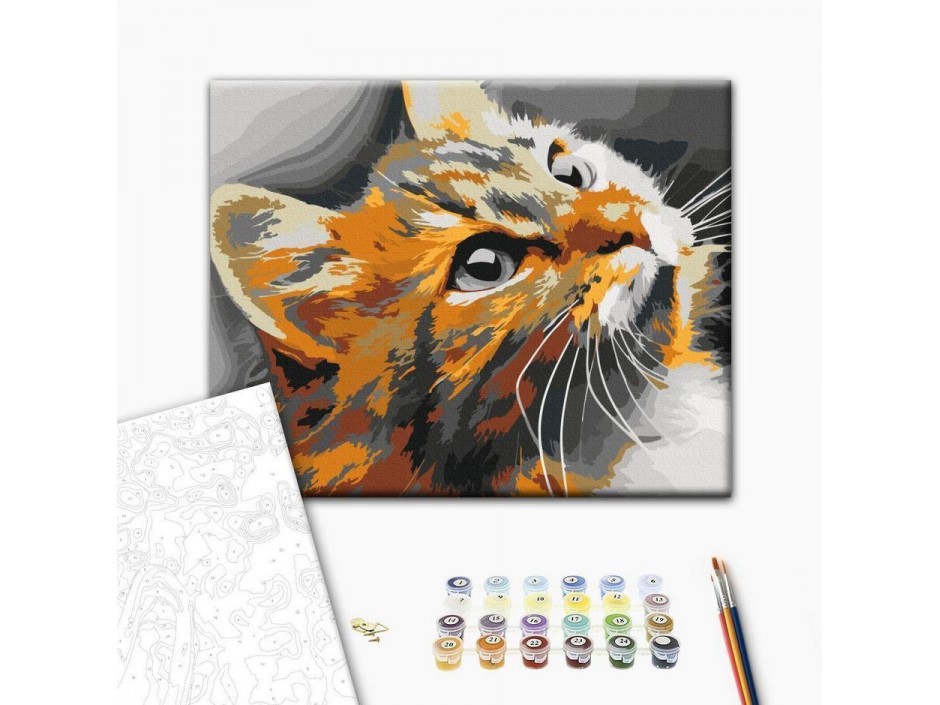 Tableau à peindre par soi-même - Chat roux