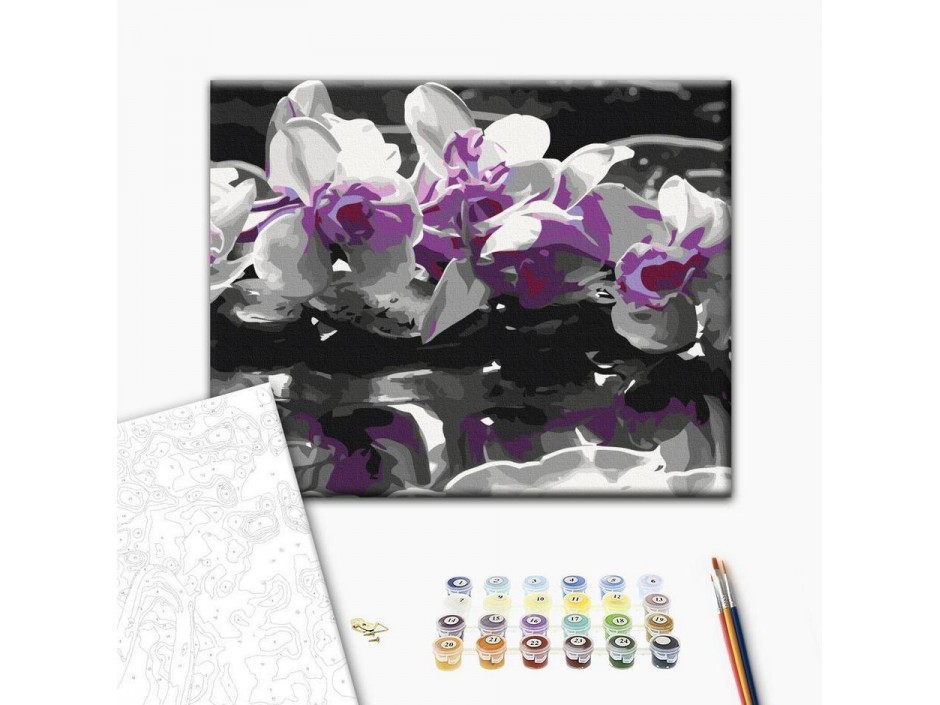Tableau à peindre par soi-même - Orchidée violette (fond noir et reflet dans l'eau)