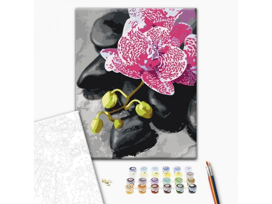 Tableau à peindre par soi-même - Orchidée rose