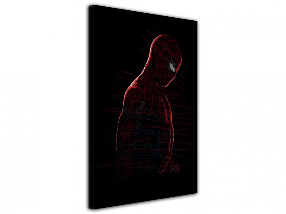 Tableau toile imprimée Héros masqué