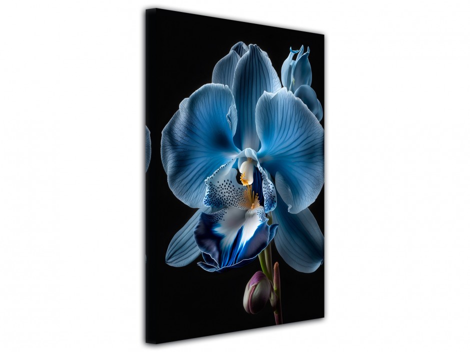 Tableau toile imprimée Orchidée Bleue