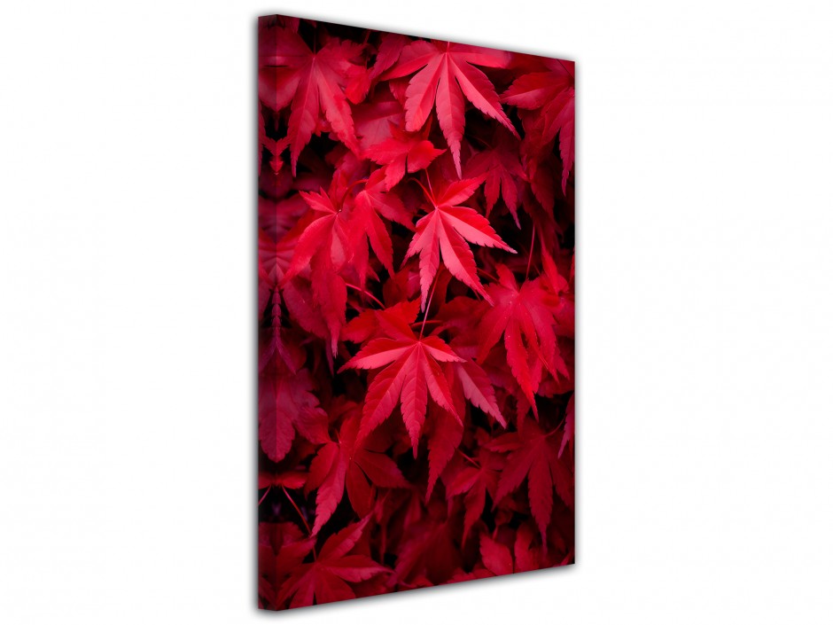 Tableau toile imprimée Érables Écarlates