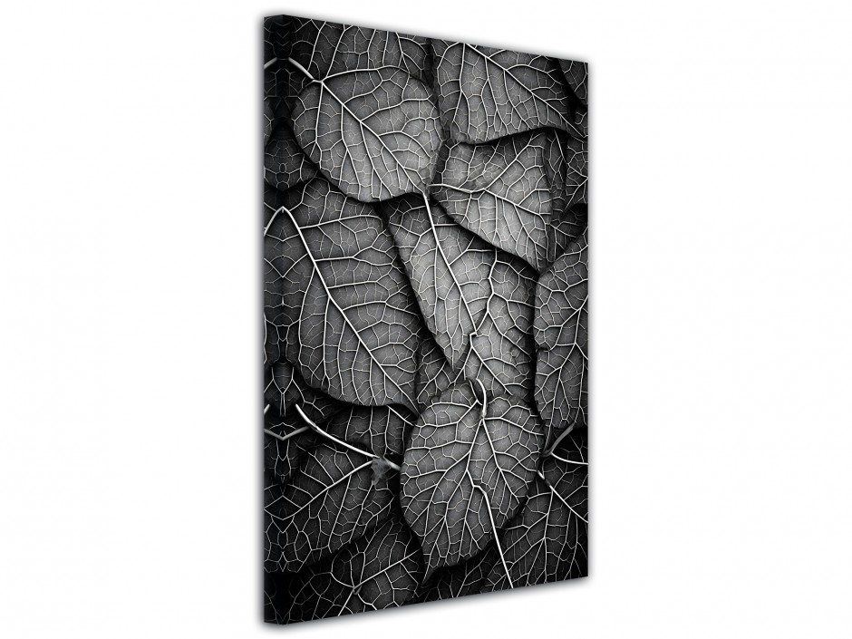 Tableau toile imprimée Veines Végétales Noir & Blanc