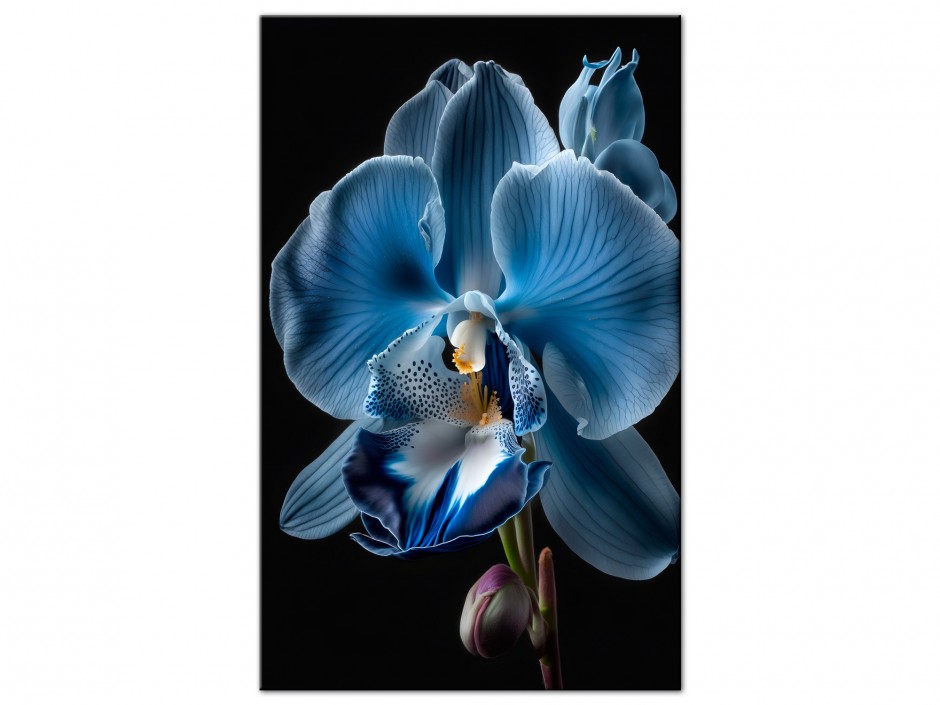 Tableau Aluminium Orchidée Bleue