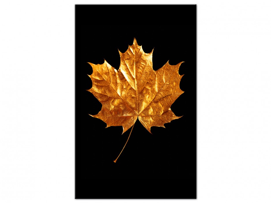 Tableau Aluminium Feuille Dorée I