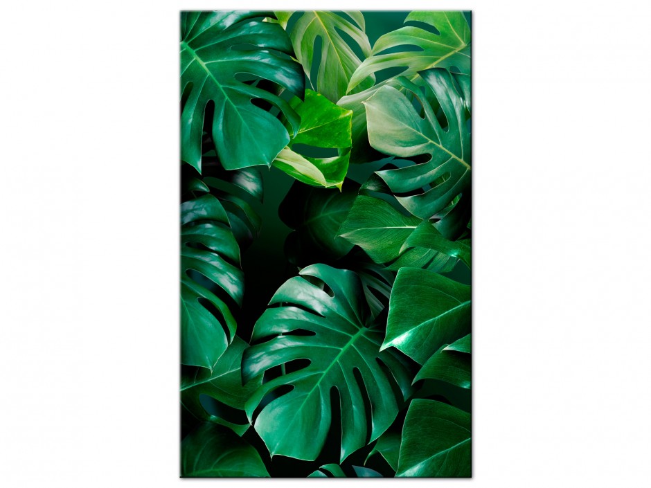 Tableau Aluminium Monstera Émeraude Perlé