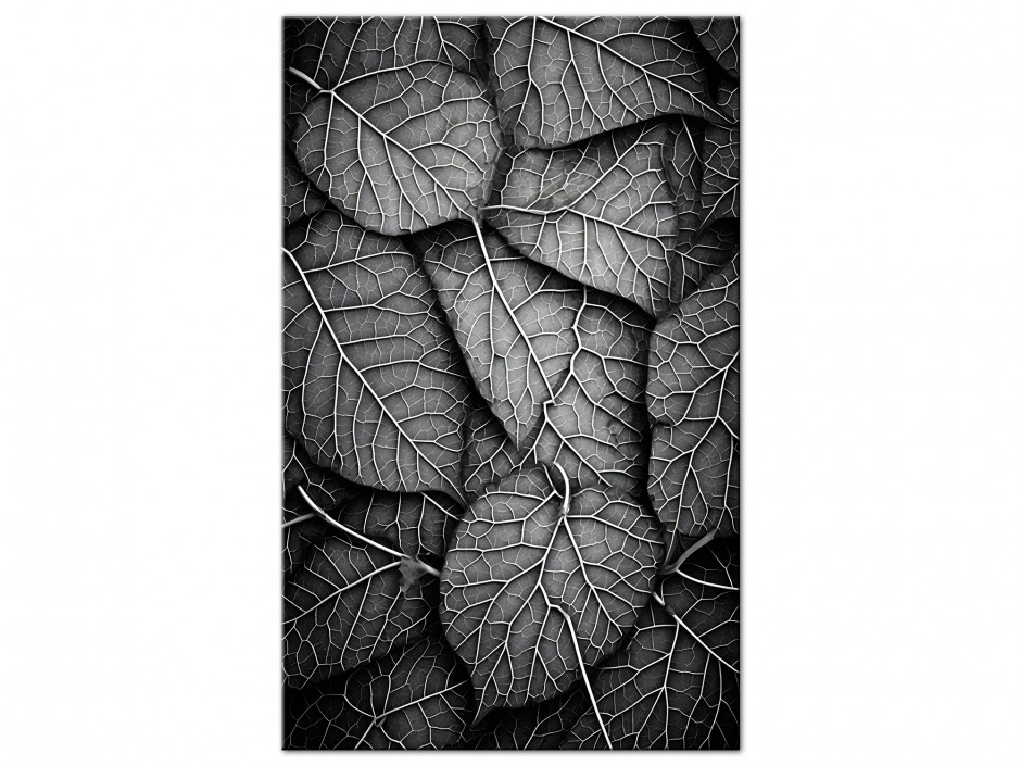 Tableau Aluminium Veines Végétales Noir & Blanc