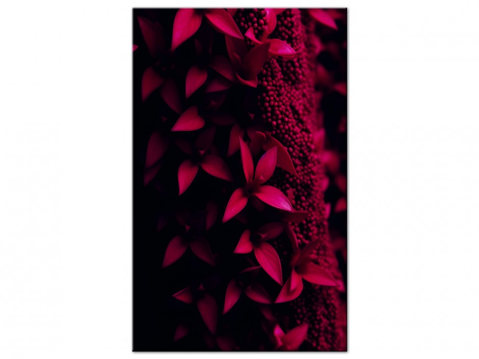 Tableau Aluminium Fleurs Pourpres