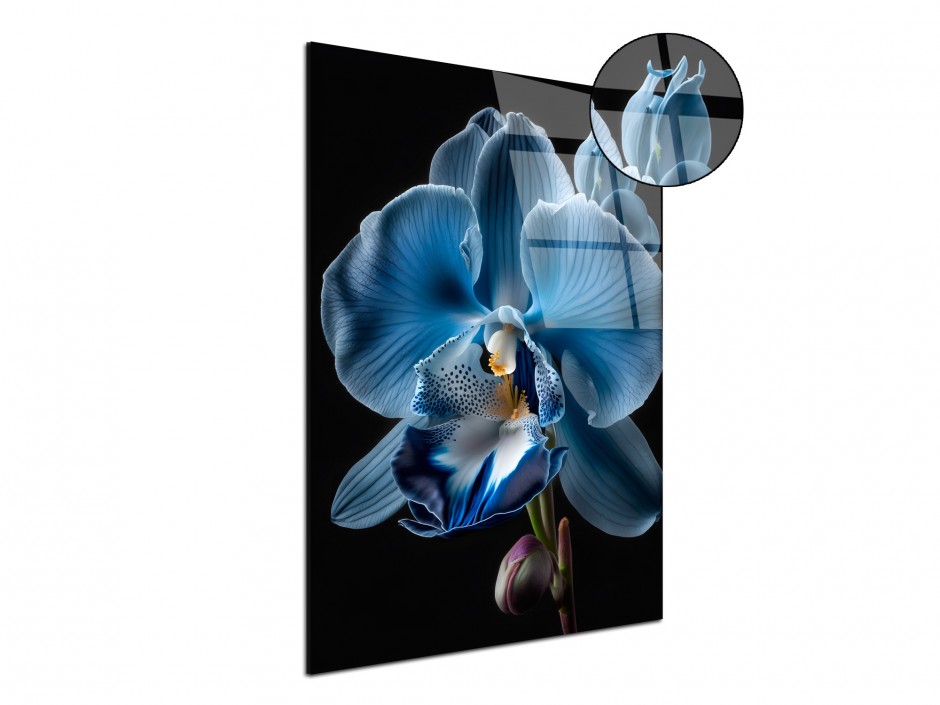 Tableau Plexiglas Orchidée Bleue
