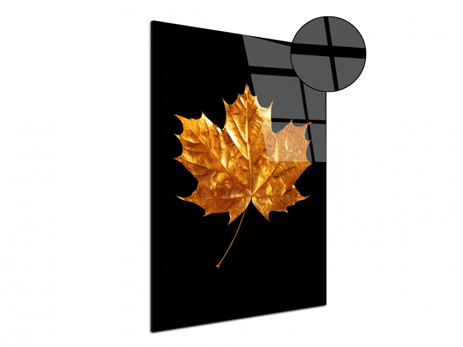 Tableau Plexiglas Feuille Dorée I
