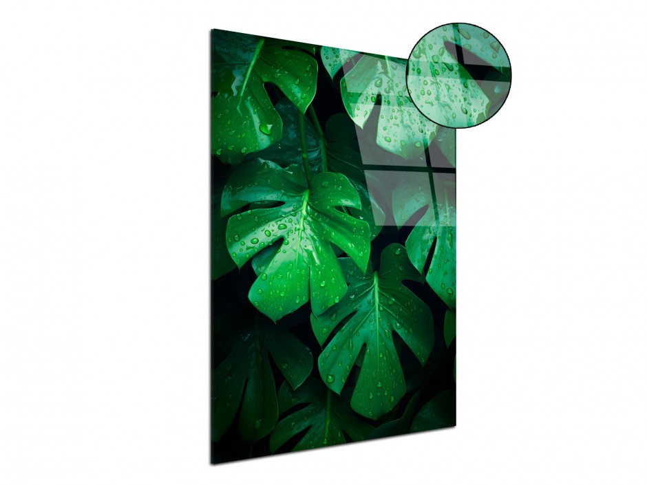 Tableau Plexiglas Mur de Feuilles Émeraude