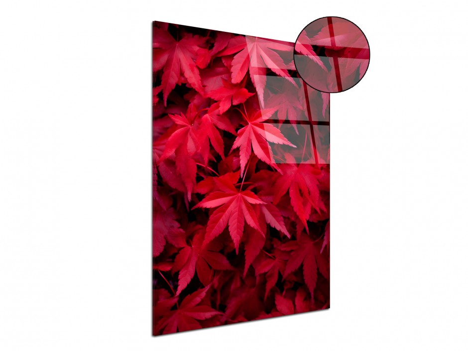 Tableau Plexiglas Érables Écarlates