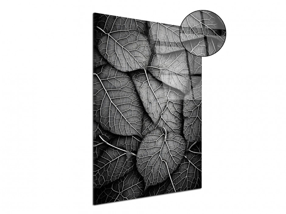 Tableau Plexiglas Veines Végétales Noir & Blanc