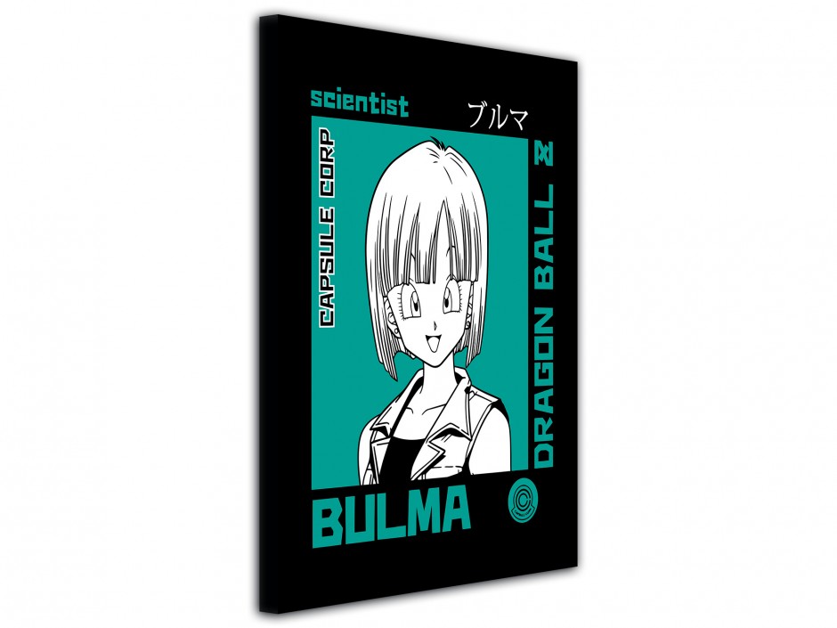 Tableau toile imprimée Bulma Scientist Retro