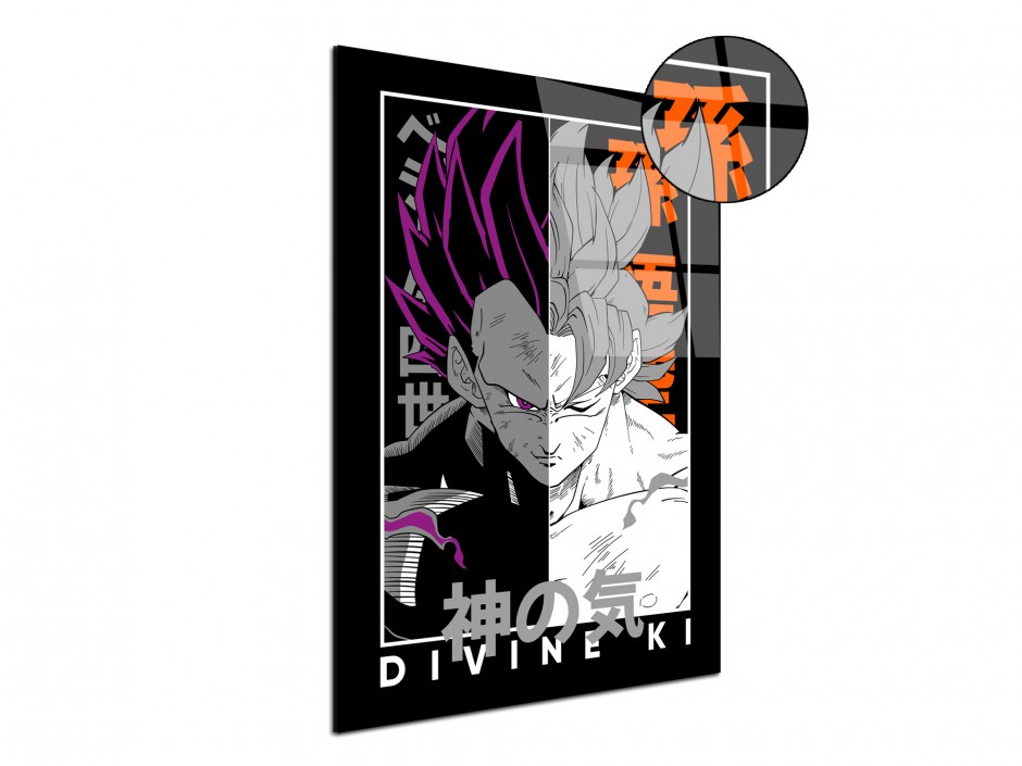 Tableau Plexiglas Duo Saiyan Divin