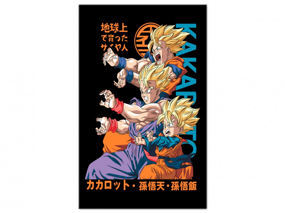 Tableau Aluminium Évolution Saiyan Kakarot