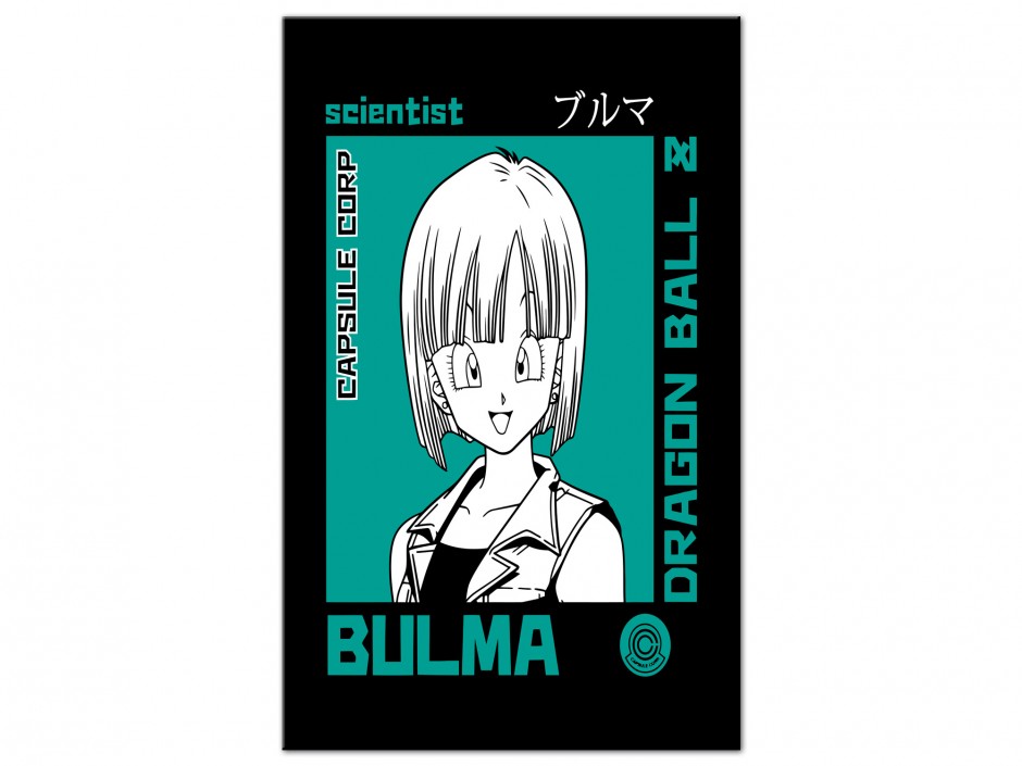 Tableau Aluminium Bulma Scientist Retro