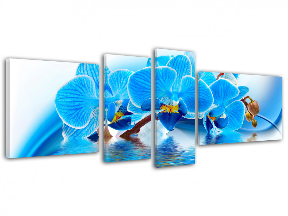 Tableau toile fleurs ORCHIDÉES BLEUES