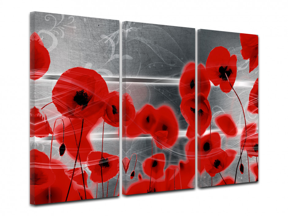 Tableau triptyque Coquelicots