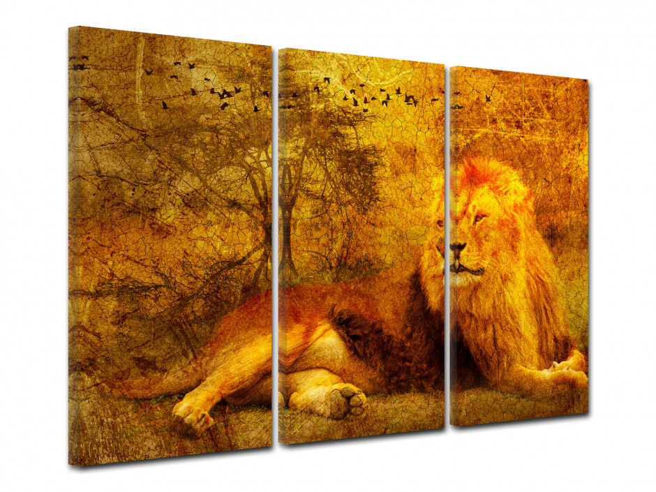 Tableau toile triptyque LION SAUVAGE