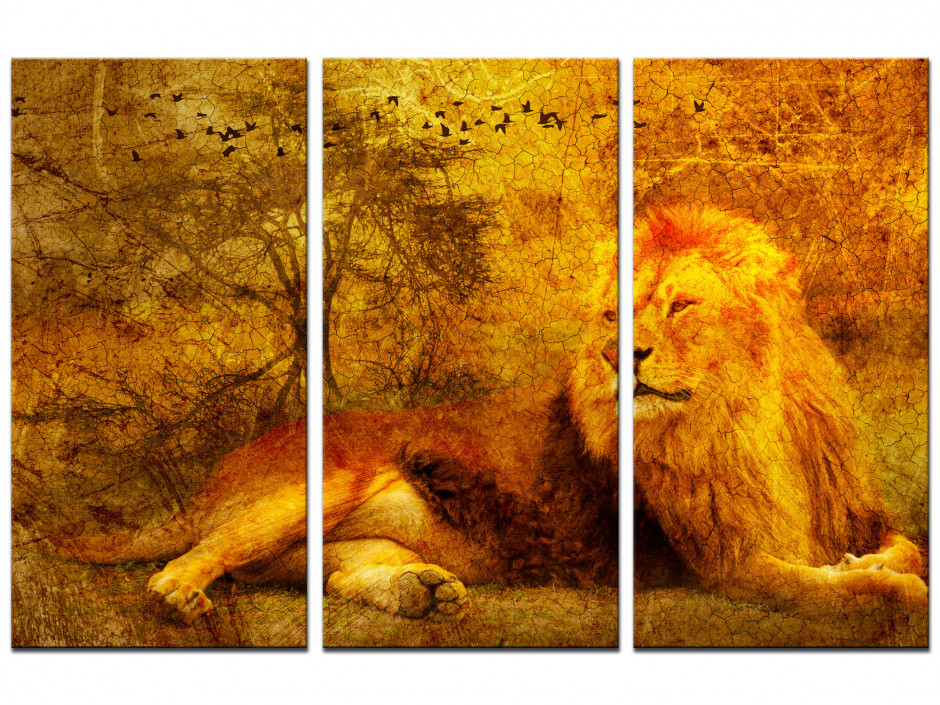 Tableau toile triptyque LION SAUVAGE