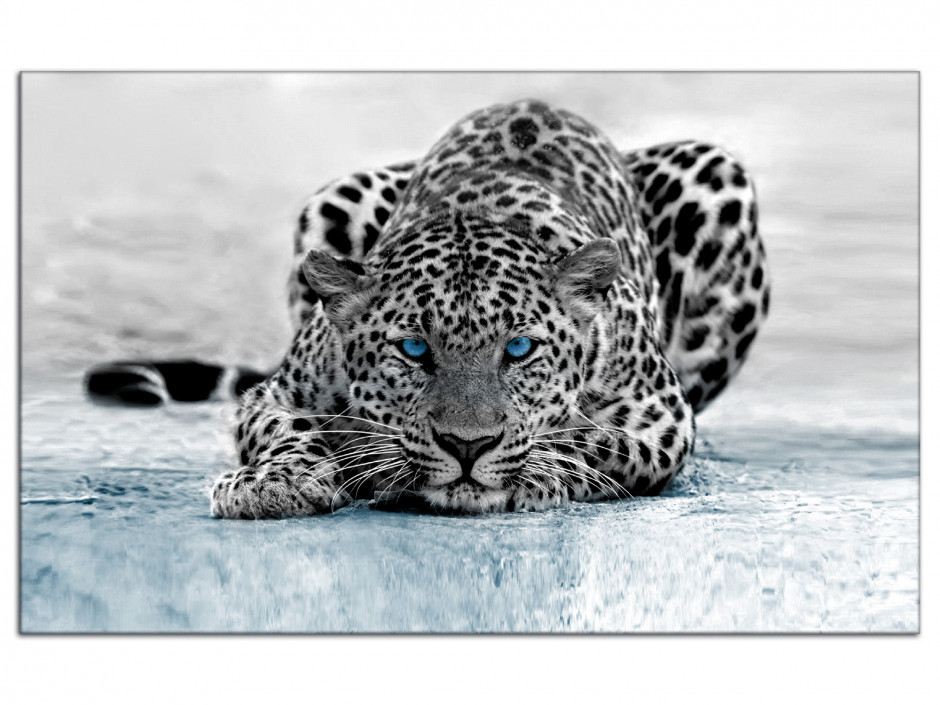 impression dart sur ??la photo murale avec cadre énorme XXL photos complètement encadrée avec civière Leopard majestueux sur larbre noir / blanc sur toile pas une moins cher que la peinture ou une peinture à lhuile