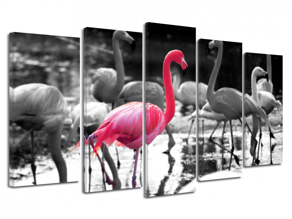 Tableau toile noir et blanc FLAMANT ROSE