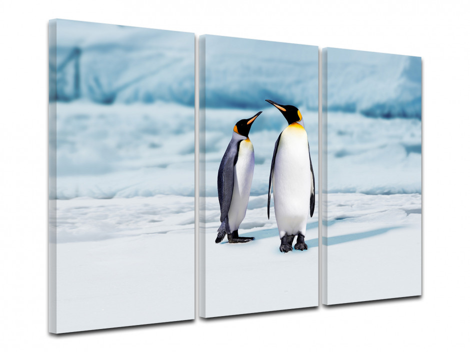 Tableau toile triptyque photo LES DEUX PINGOUINS