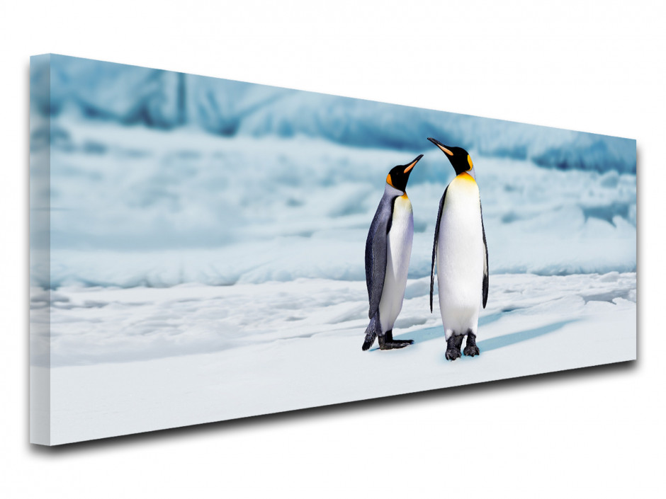 Tableau toile panorama PINGOUINS