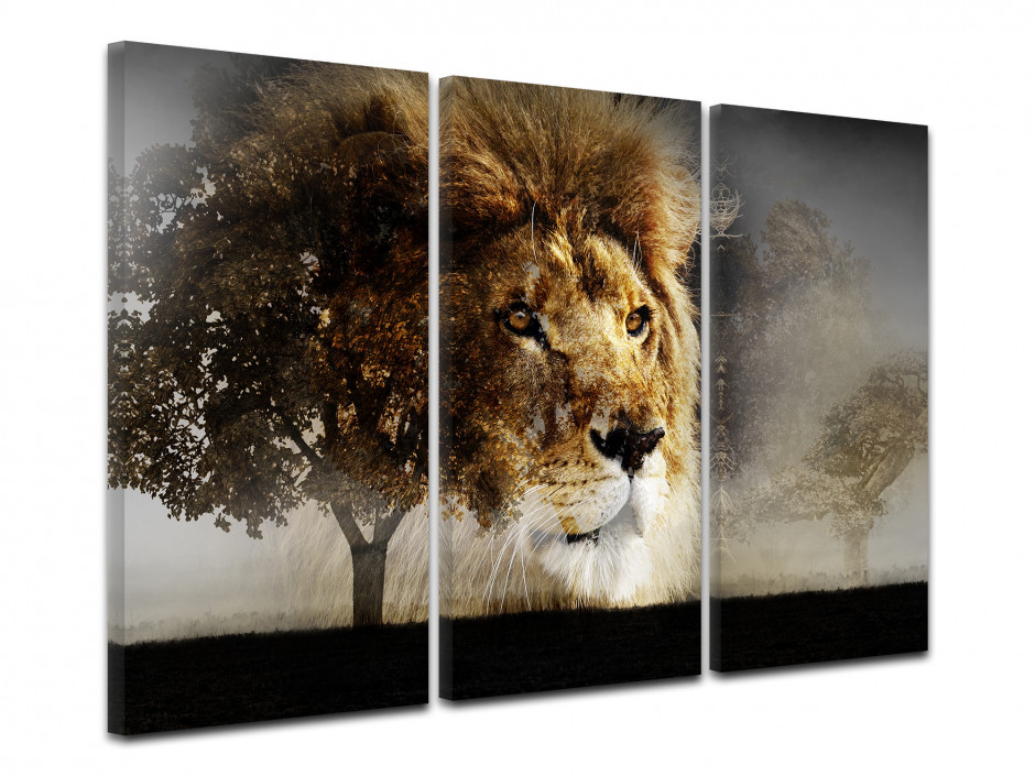 Tableau contemporain photo sur toile lion sauvage - Cadre triptyque