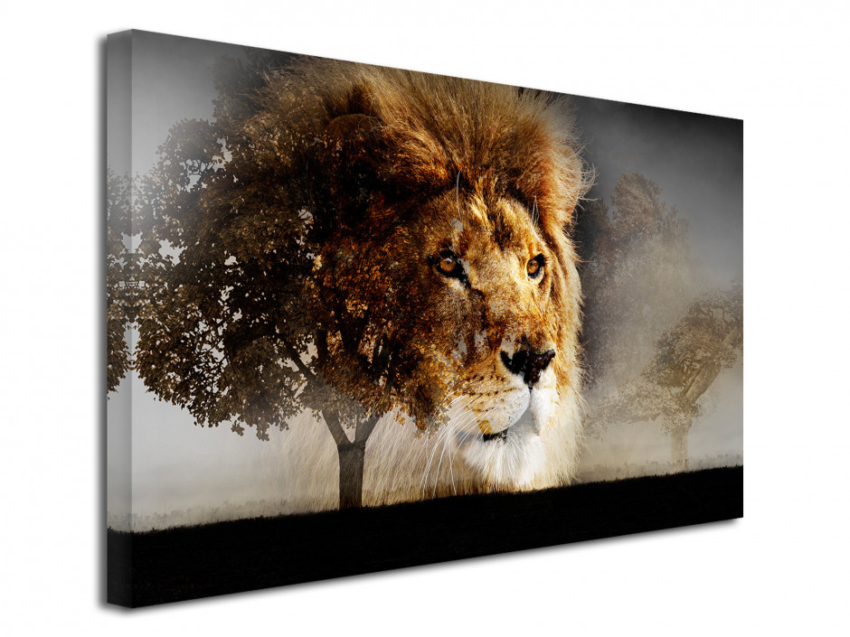 Tableau toile photo LA SPLENDEUR DU LION