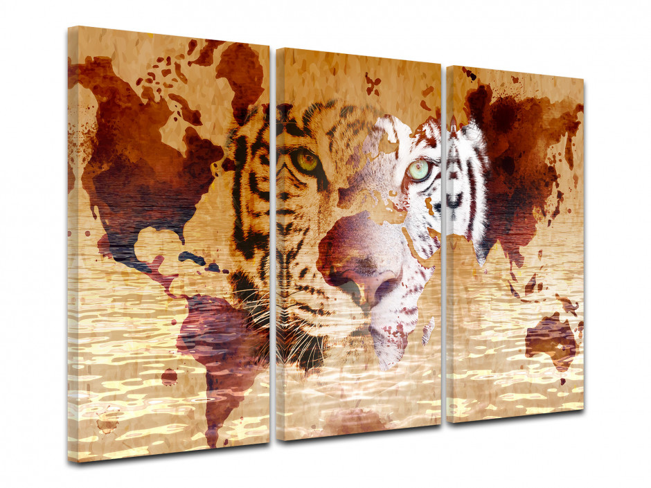 Cadre Triptyque Tigre Et Carte Du Monde Sur Toile Imprimée Declina