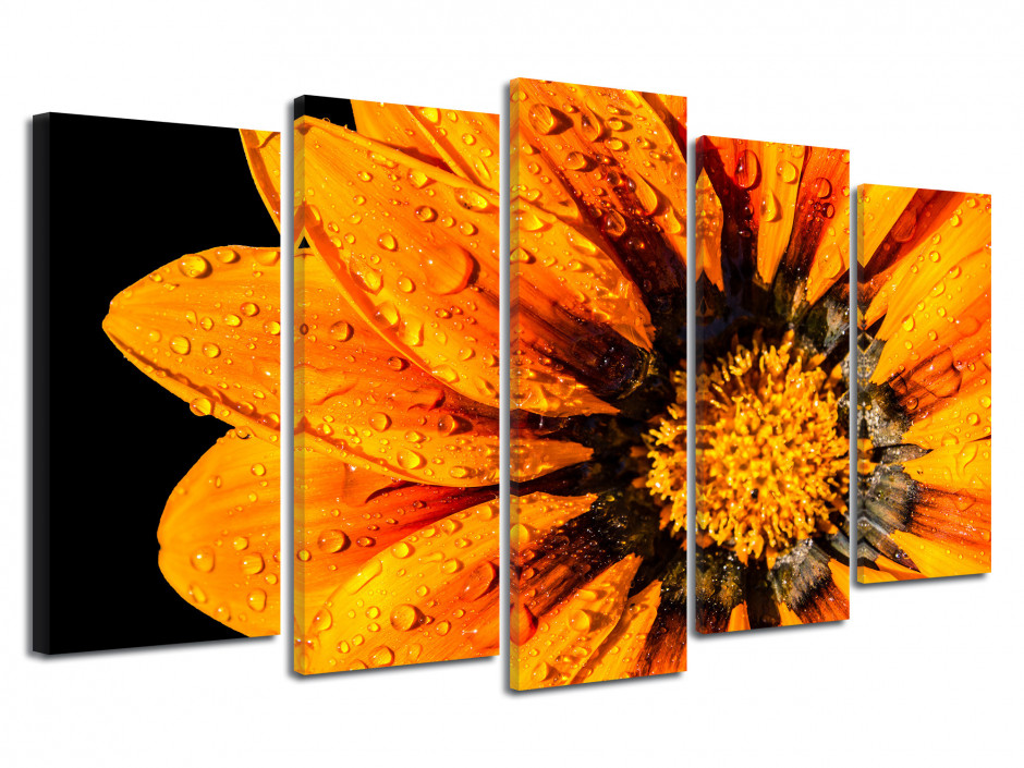 Tableau grand format fleurs orange