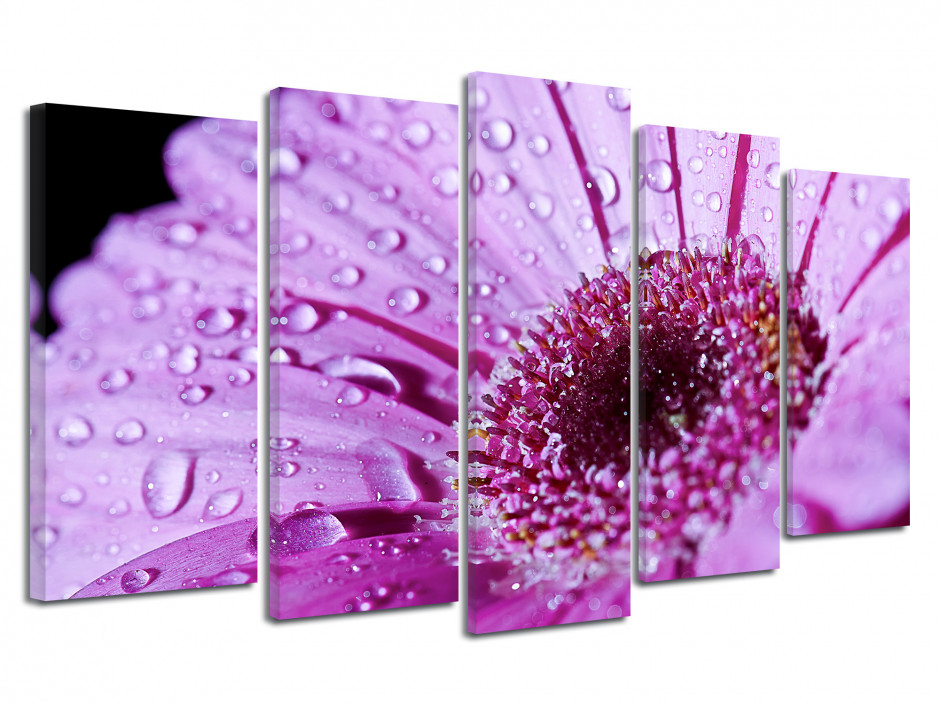 Tableau deco fleurs de Gerbera violette