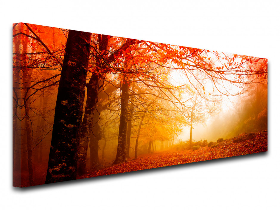 Tableau toile photo paysage PROMENADE AUTOMNALE