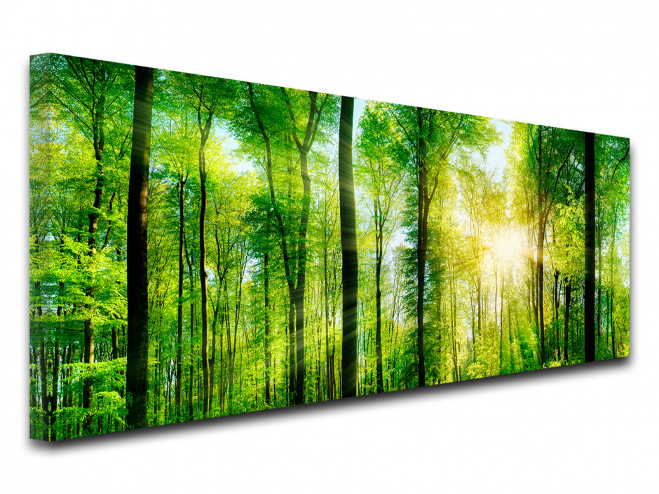 Tableau toile photo de paysage NATURE VERDOYANTE