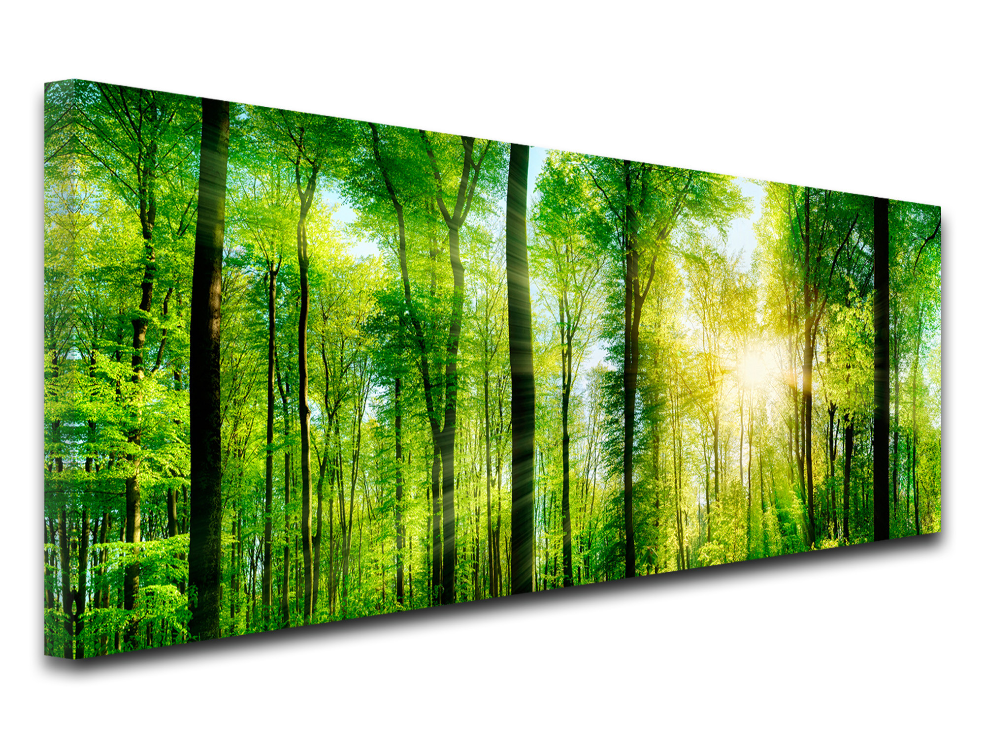 Tableau photo paysage nature verdoyante - Toile imprimée Declina