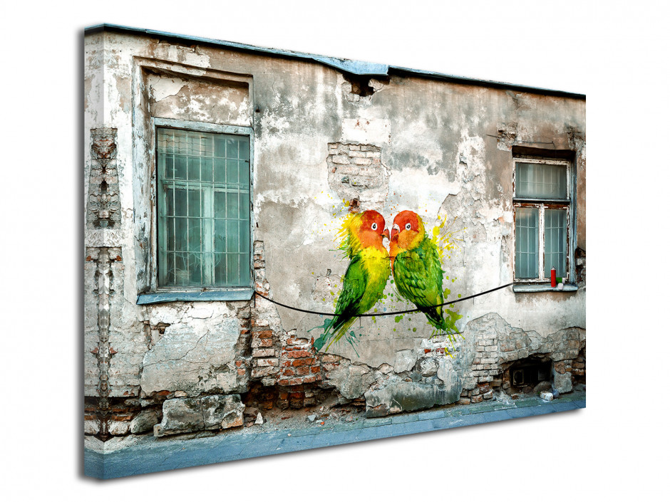 Tableau toile photo graffiti COUPLE OISEAUX