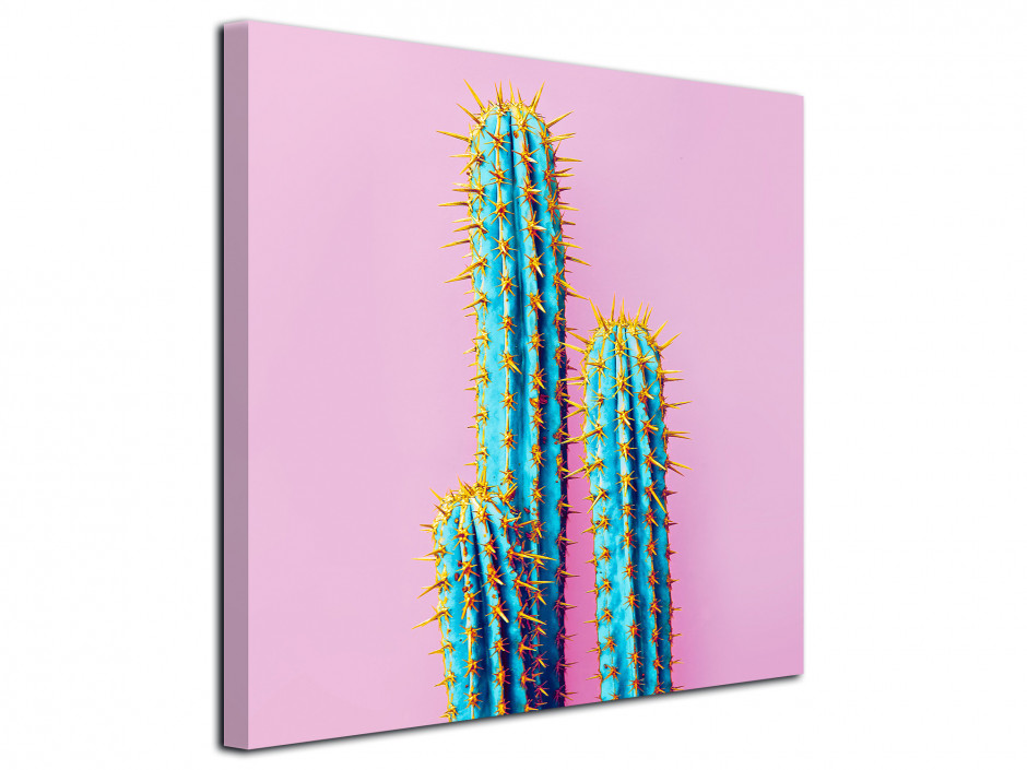 Tableau toile deco vintage Cactus
