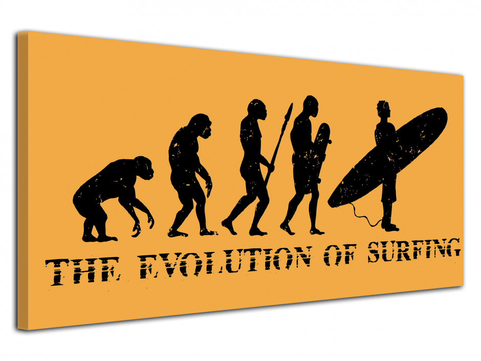 Tableau deco Evolution of Surfing